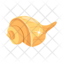 پیش‌نمایش فایل conch-7369162 از پک دزد دریایی