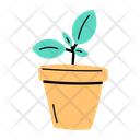 پیش‌نمایش فایل houseplant-7466506 از پک دفتر کار