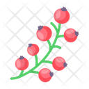 پیش‌نمایش فایل christmas-cherries-7397853 از پک استیکرهای بامزه