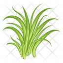 پیش‌نمایش فایل turfgrass-7354337 از پک علف