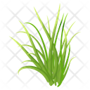 پیش‌نمایش فایل turfgrass-7354338 از پک علف