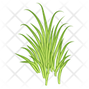 پیش‌نمایش فایل turfgrass-7354339 از پک علف