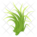 پیش‌نمایش فایل turfgrass-7354340 از پک علف