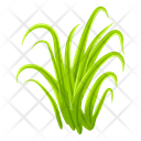 پیش‌نمایش فایل turfgrass-7354341 از پک علف