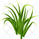 پیش‌نمایش فایل turfgrass-7354342 از پک علف