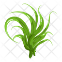پیش‌نمایش فایل turfgrass-7354344 از پک علف
