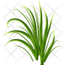 پیش‌نمایش فایل turfgrass-7354345 از پک علف
