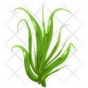 پیش‌نمایش فایل turfgrass-7354346 از پک علف