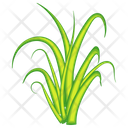 پیش‌نمایش فایل turfgrass-7354347 از پک علف