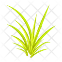 پیش‌نمایش فایل turfgrass-7354349 از پک علف