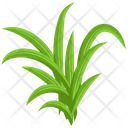 پیش‌نمایش فایل turfgrass-7354351 از پک علف