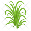پیش‌نمایش فایل turfgrass-7354353 از پک علف