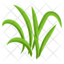 پیش‌نمایش فایل turfgrass-7354354 از پک علف