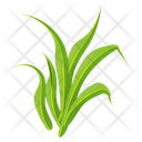 پیش‌نمایش فایل turfgrass-7354356 از پک علف