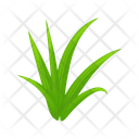 پیش‌نمایش فایل turfgrass-7354357 از پک علف