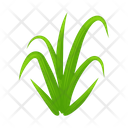 پیش‌نمایش فایل turfgrass-7354361 از پک علف