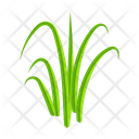 پیش‌نمایش فایل turfgrass-7354362 از پک علف