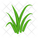 پیش‌نمایش فایل turfgrass-7354363 از پک علف