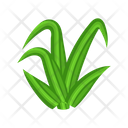 پیش‌نمایش فایل turfgrass-7354365 از پک علف
