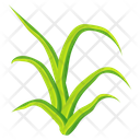 پیش‌نمایش فایل turfgrass-7354366 از پک علف