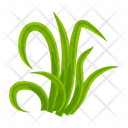 پیش‌نمایش فایل turfgrass-7354368 از پک علف