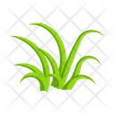 پیش‌نمایش فایل turfgrass-7354373 از پک علف