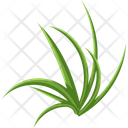 پیش‌نمایش فایل turfgrass-7354378 از پک علف