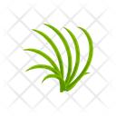 پیش‌نمایش فایل turfgrass-7354379 از پک علف