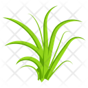 پیش‌نمایش فایل turfgrass-7354381 از پک علف