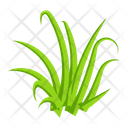 پیش‌نمایش فایل turfgrass-7354385 از پک علف