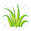 پیش‌نمایش فایل turfgrass-7354387 از پک علف