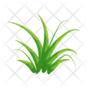 پیش‌نمایش فایل turfgrass-7354392 از پک علف