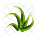 پیش‌نمایش فایل turfgrass-7354395 از پک علف