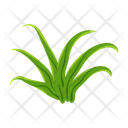 پیش‌نمایش فایل turfgrass-7354396 از پک علف