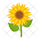 پیش‌نمایش فایل sunflower-7354579 از پک گل آفتابگردان