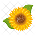 پیش‌نمایش فایل sunflower-7354580 از پک گل آفتابگردان