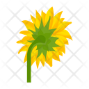 پیش‌نمایش فایل sunflower-7354583 از پک گل آفتابگردان