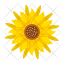 پیش‌نمایش فایل sunflower-7354584 از پک گل آفتابگردان
