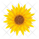 پیش‌نمایش فایل sunflower-7354586 از پک گل آفتابگردان