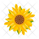 پیش‌نمایش فایل sunflower-7354588 از پک گل آفتابگردان