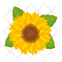 پیش‌نمایش فایل sunflower-7354595 از پک گل آفتابگردان