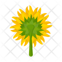 پیش‌نمایش فایل sunflower-7354596 از پک گل آفتابگردان