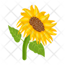 پیش‌نمایش فایل sunflower-7354599 از پک گل آفتابگردان