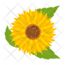 پیش‌نمایش فایل sunflower-7354600 از پک گل آفتابگردان