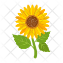 پیش‌نمایش فایل sunflower-7354602 از پک گل آفتابگردان