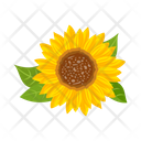 پیش‌نمایش فایل sunflower-7354605 از پک گل آفتابگردان