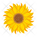 پیش‌نمایش فایل sunflower-7354606 از پک گل آفتابگردان