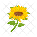 پیش‌نمایش فایل sunflower-7354607 از پک گل آفتابگردان