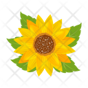 پیش‌نمایش فایل sunflower-7354608 از پک گل آفتابگردان