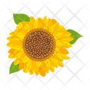 پیش‌نمایش فایل sunflower-7354609 از پک گل آفتابگردان